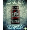 TRIBULUS PURE DRY ROOT EXTRACT INSANITY NUTRITION - 120 CAPS